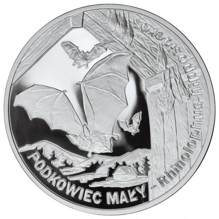 Zwierzęta świata - Podkowiec mały